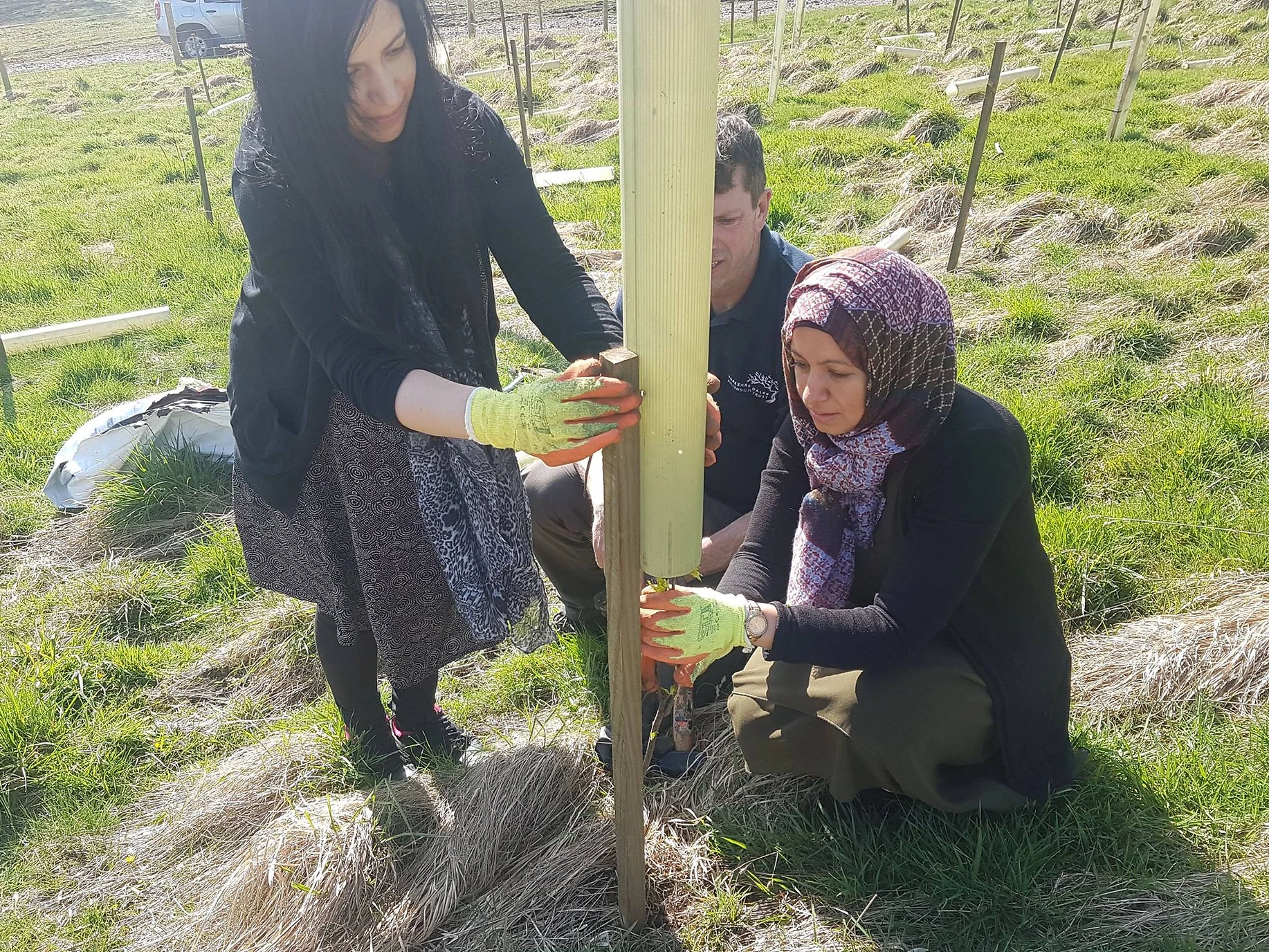 People planting trees